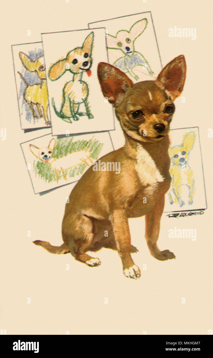 Chihuahua e Arte per bambini Foto Stock