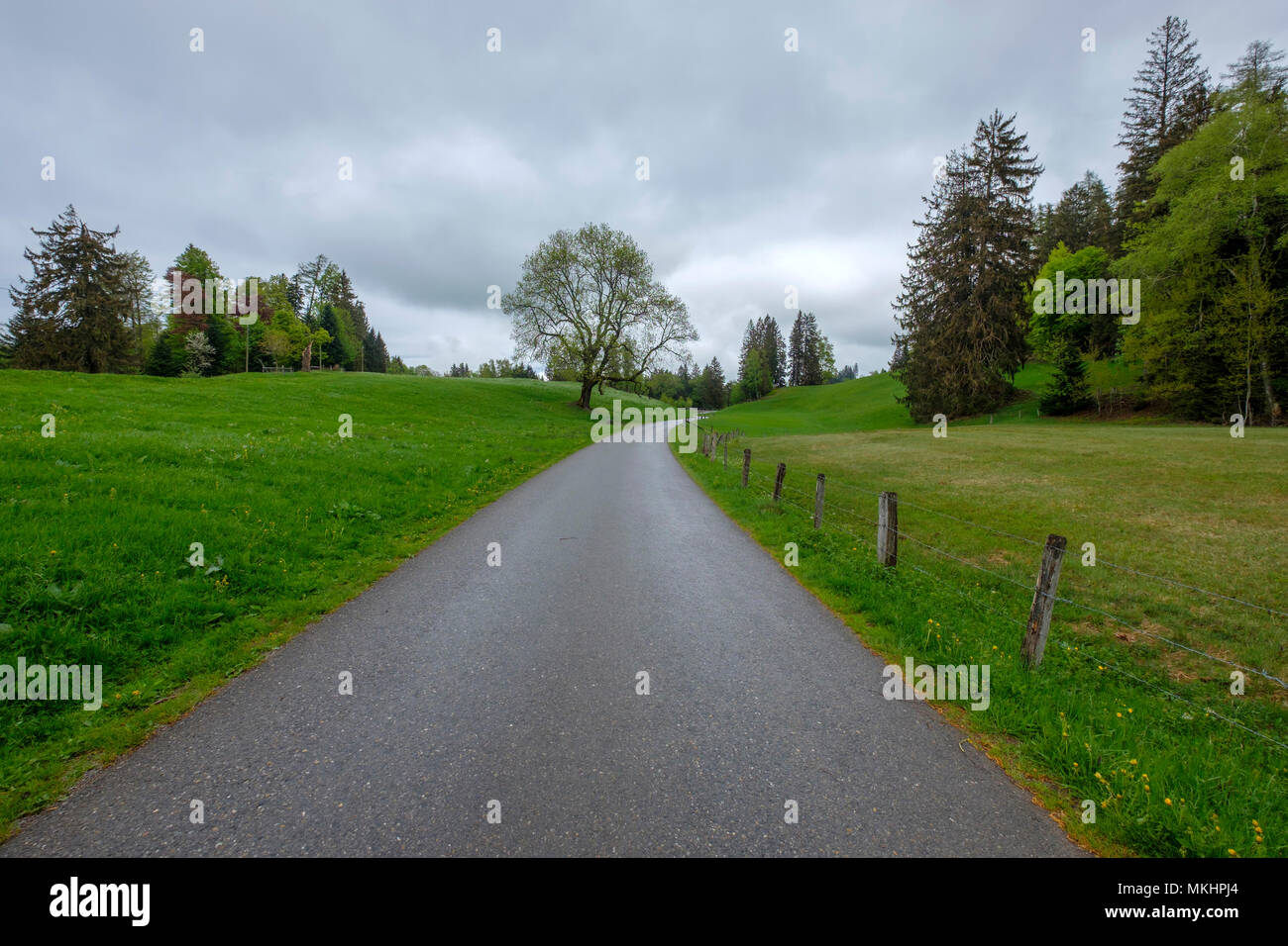 Strada vuota in campagna Foto Stock