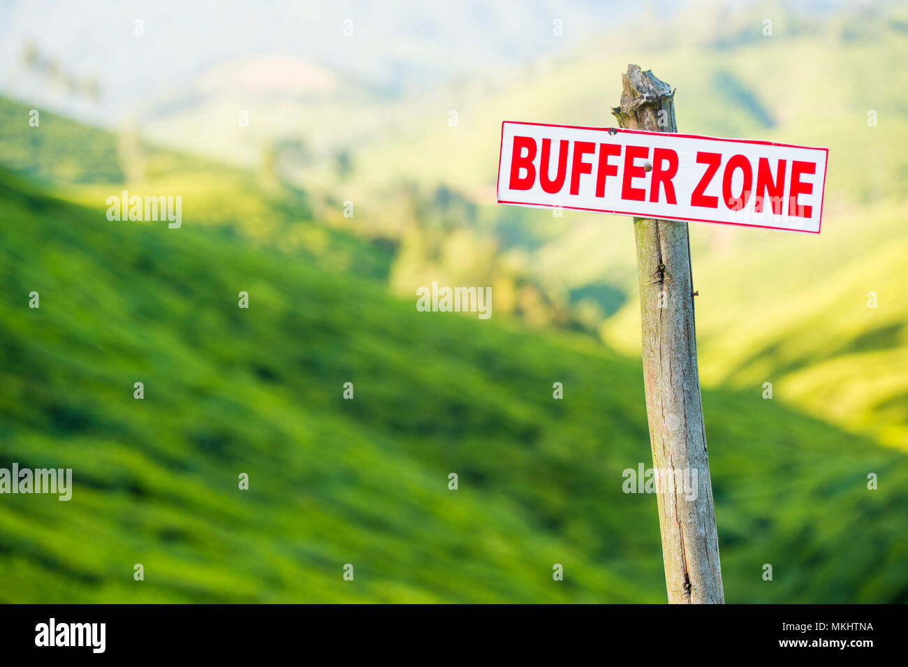 Un cartello che dice "zona tampone" si trova in cima ad una collina piena di verde le piantagioni di tè in Munnar, India Foto Stock