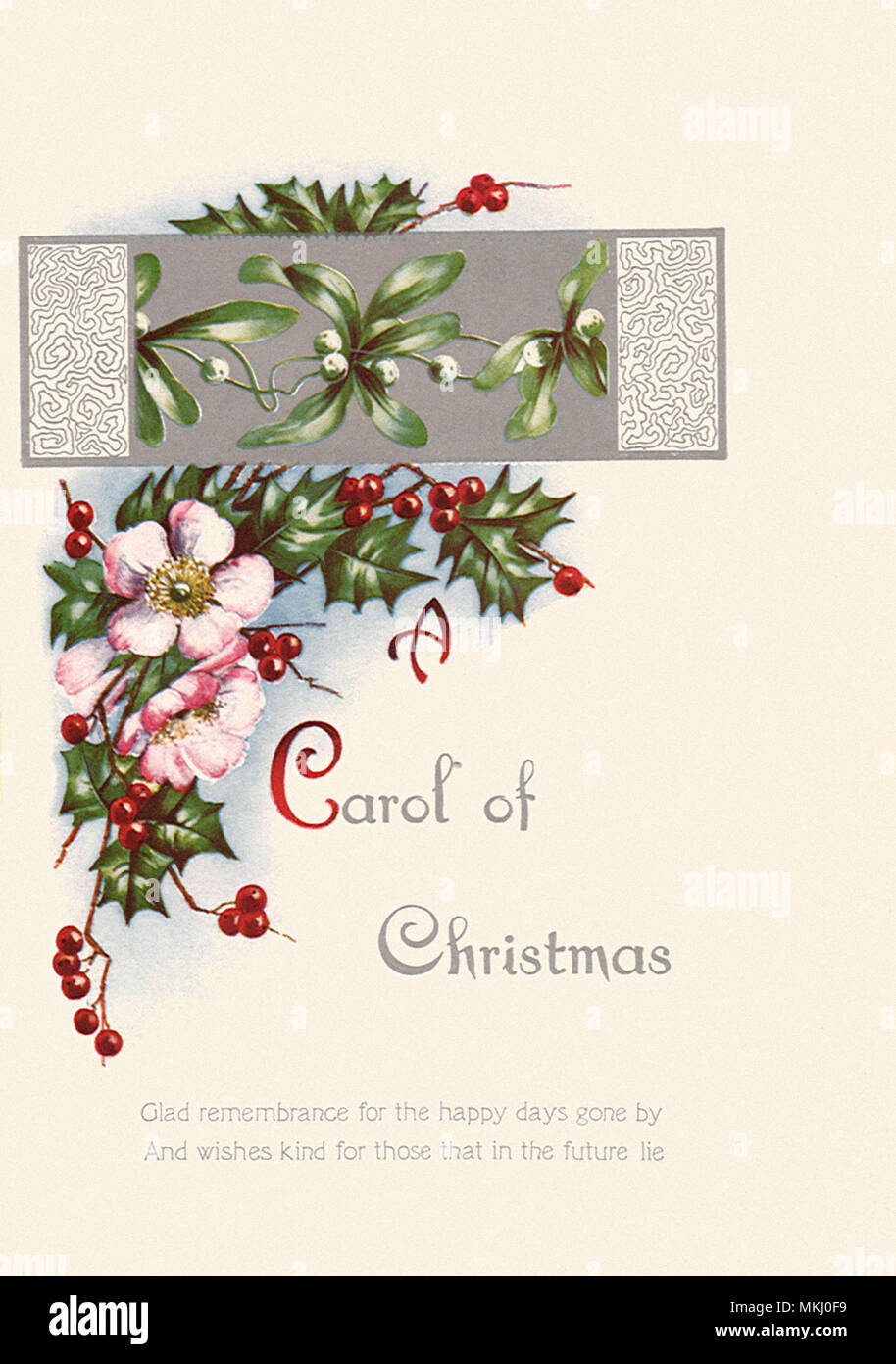 Agrifoglio e vischio Foto Stock