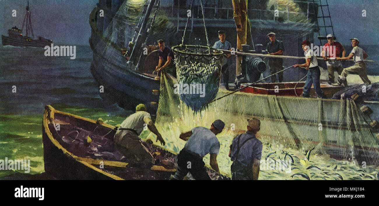 La pesca di notte Foto Stock