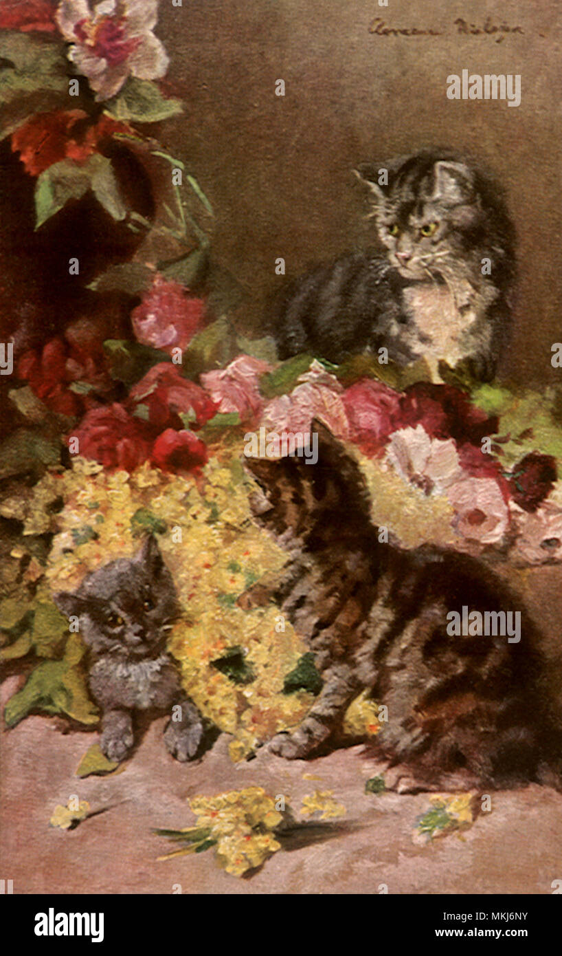 Gatti e fiori Foto Stock