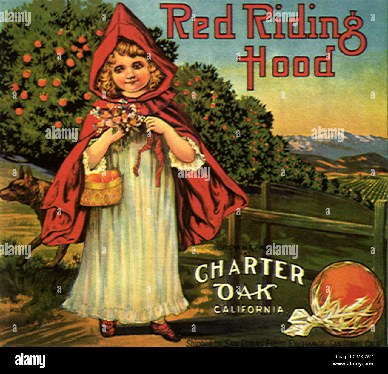 Little Red Riding Hood Foto Stock