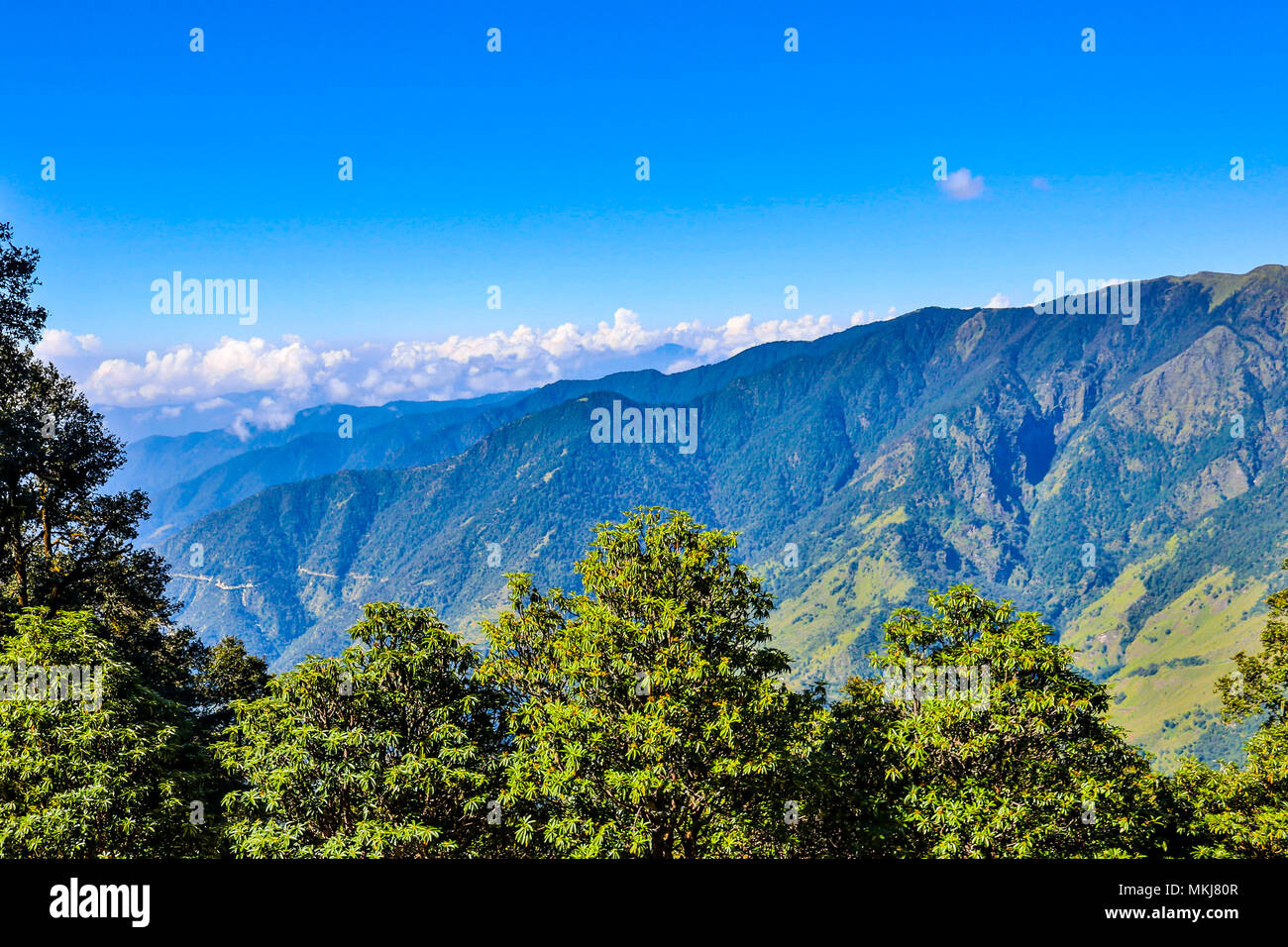Incredibili montagne verdi in Roopkund, Uttarakhand, India. Foto Stock
