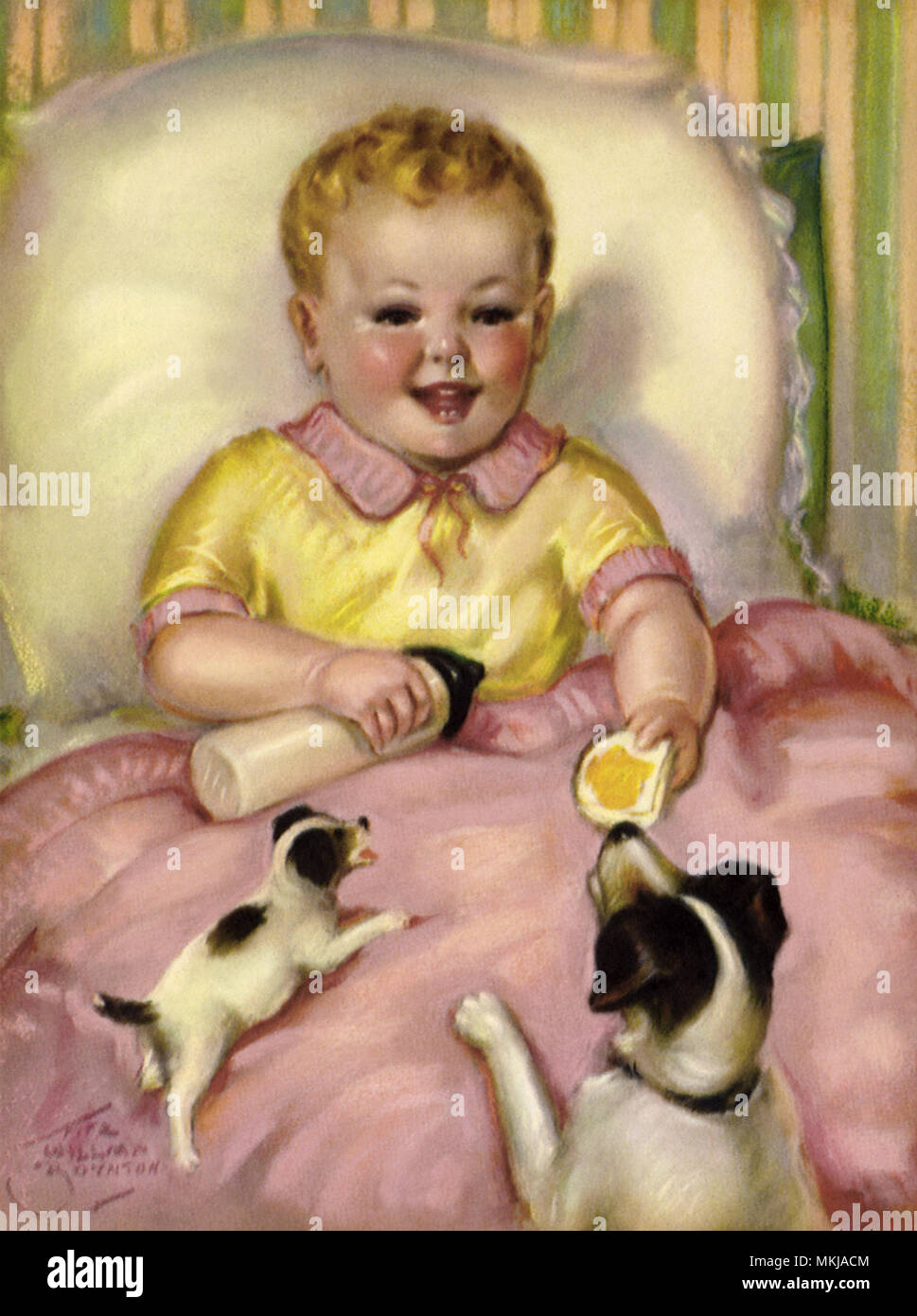 Baby alimenta i cani Foto Stock