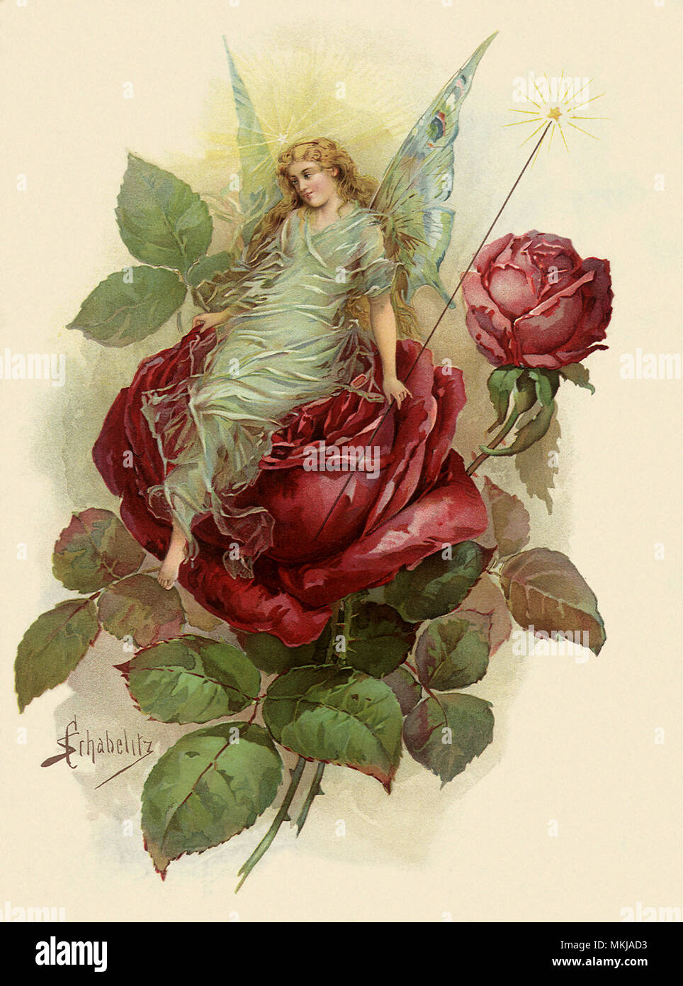 Fairy su Red Rose Foto Stock
