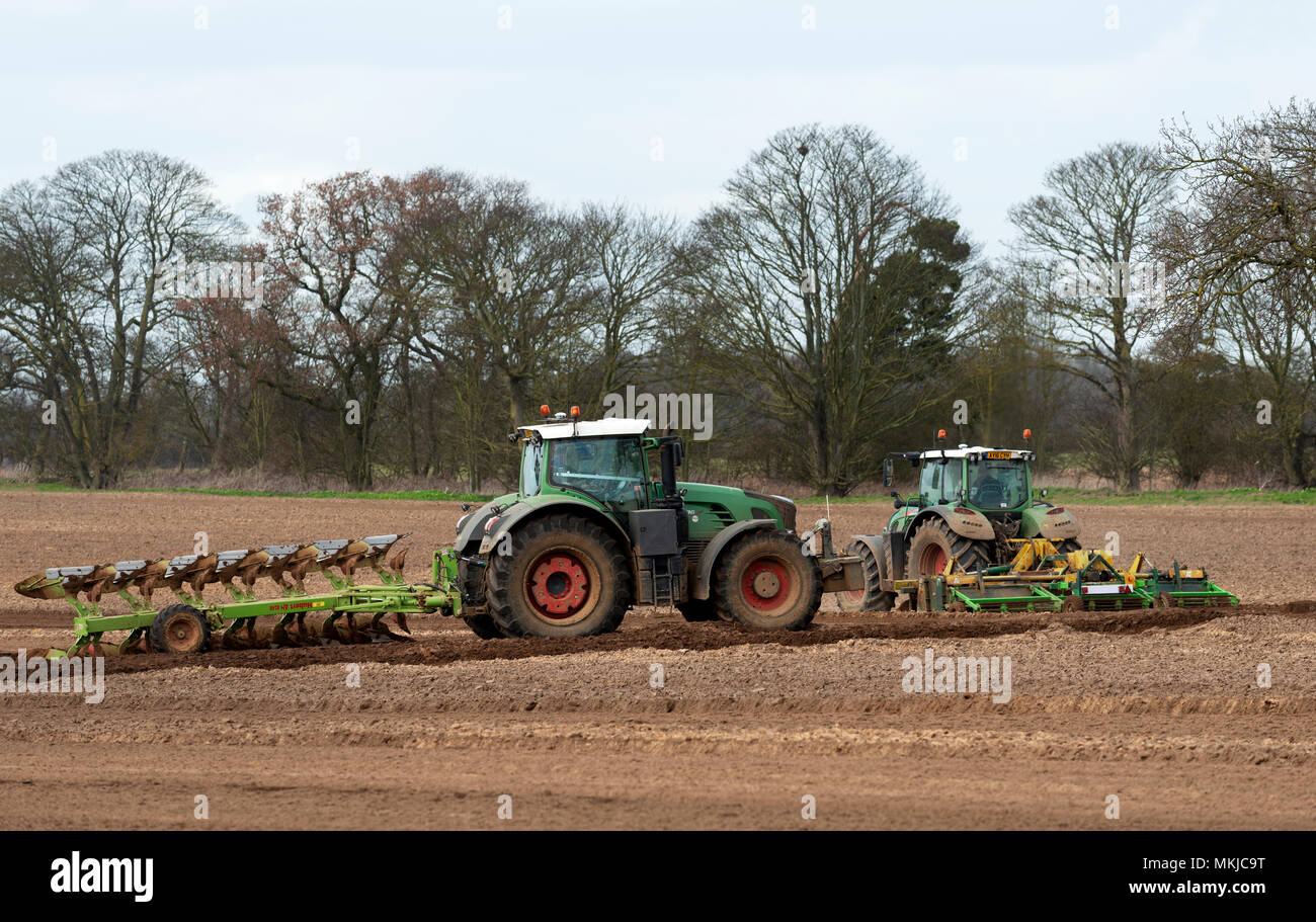 Essendo i terreni agricoli coltivati, Shottisham, Suffolk, Regno Unito. Foto Stock