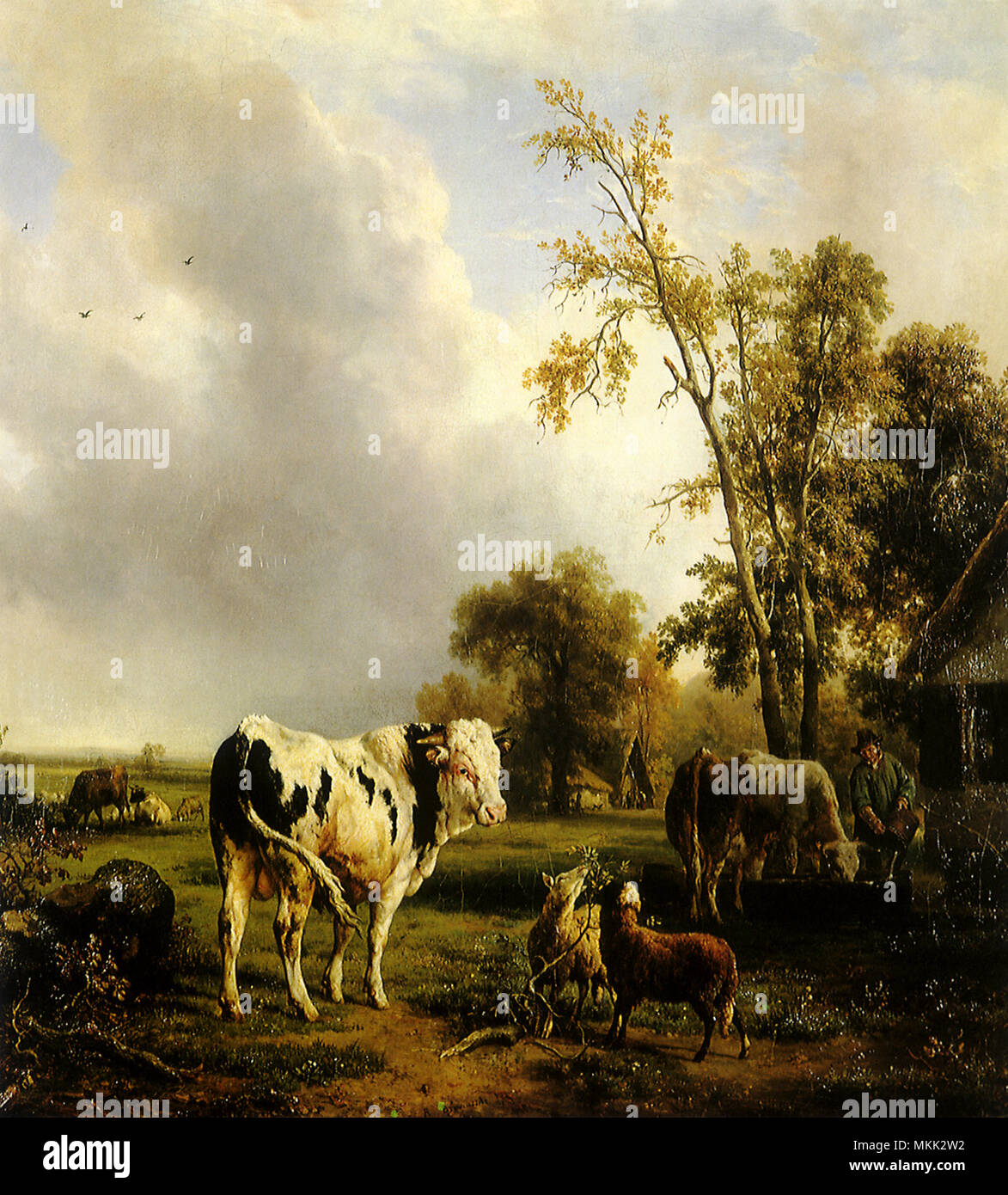 White Bull e gli altri animali nel paese Foto Stock