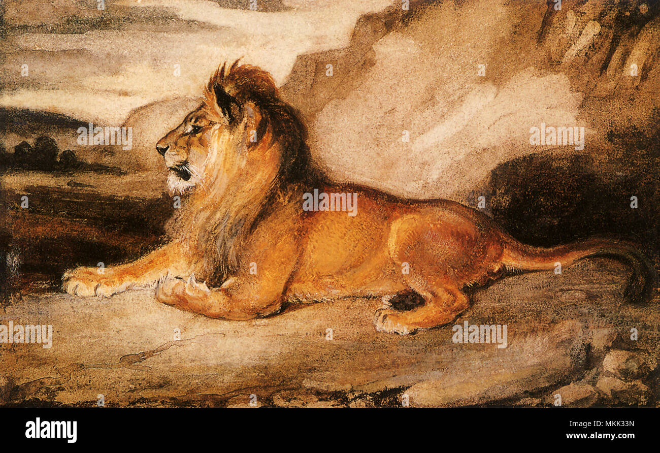 Lion giacente a terra Foto Stock