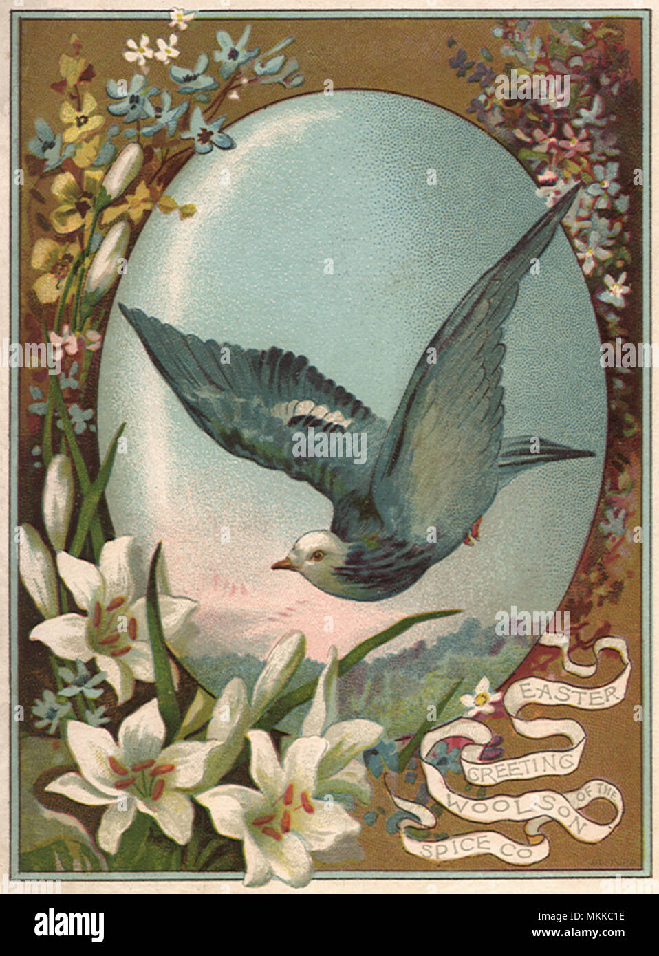 Blue Bird in uovo Foto Stock