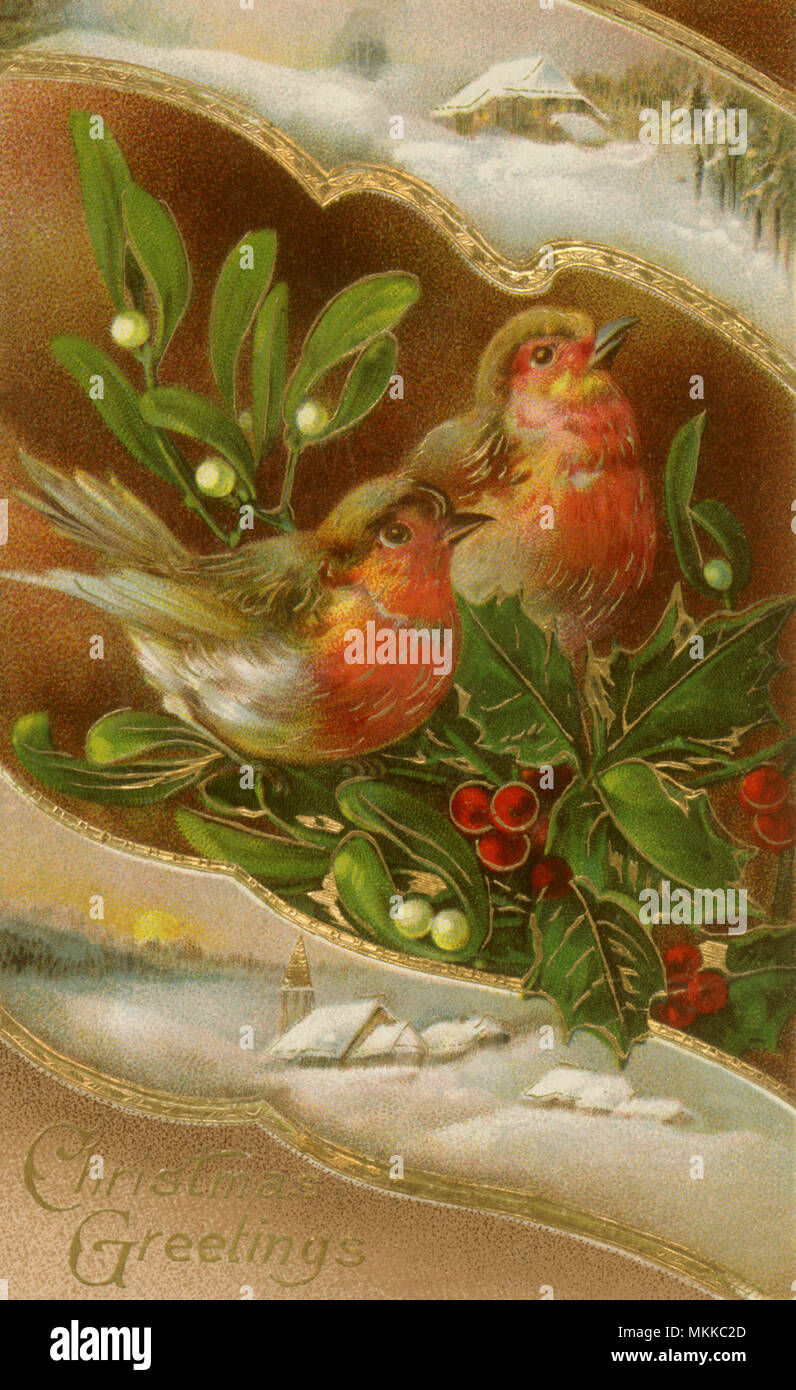 Due uccelli, Holly Foto Stock