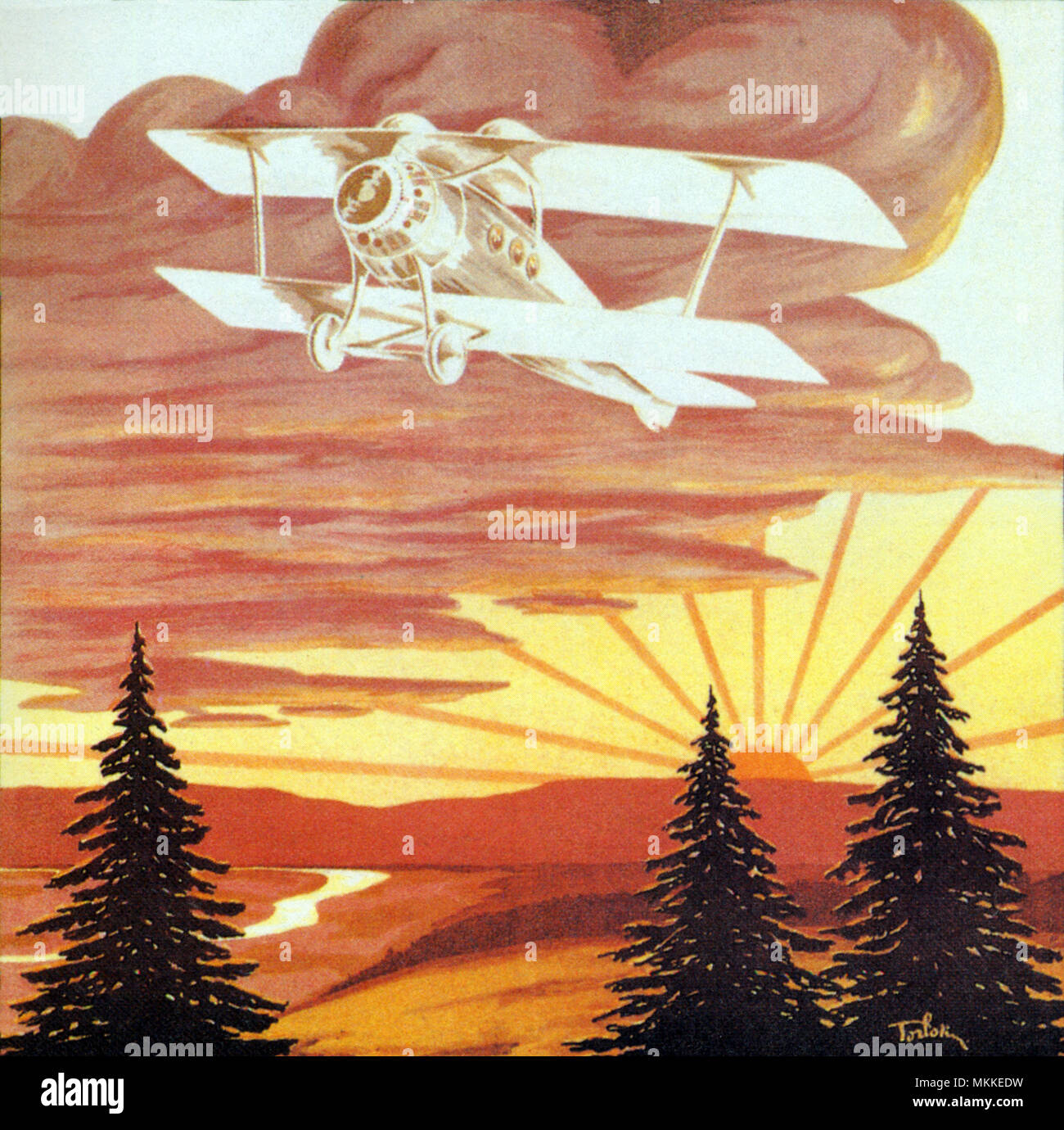 Aereo nel tramonto Foto Stock