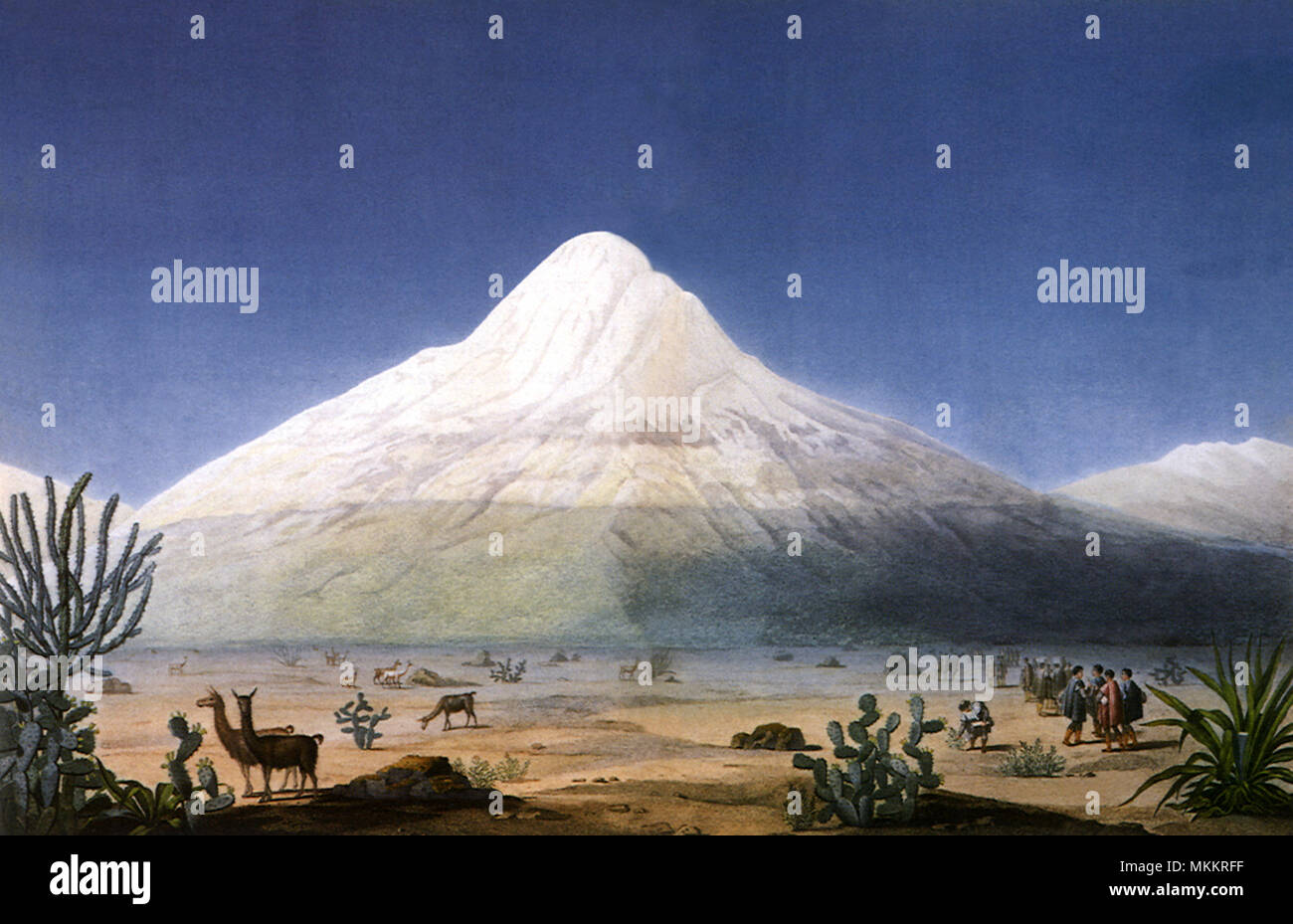 Chimborazo visto dal Tapia Plateau Foto Stock