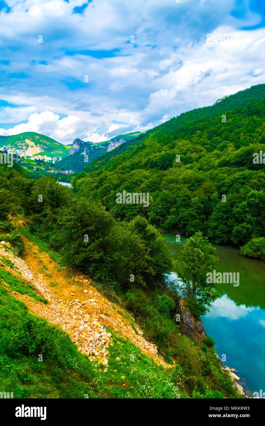 Fiume in Mountain Pass paesaggio verticale. Foto Stock