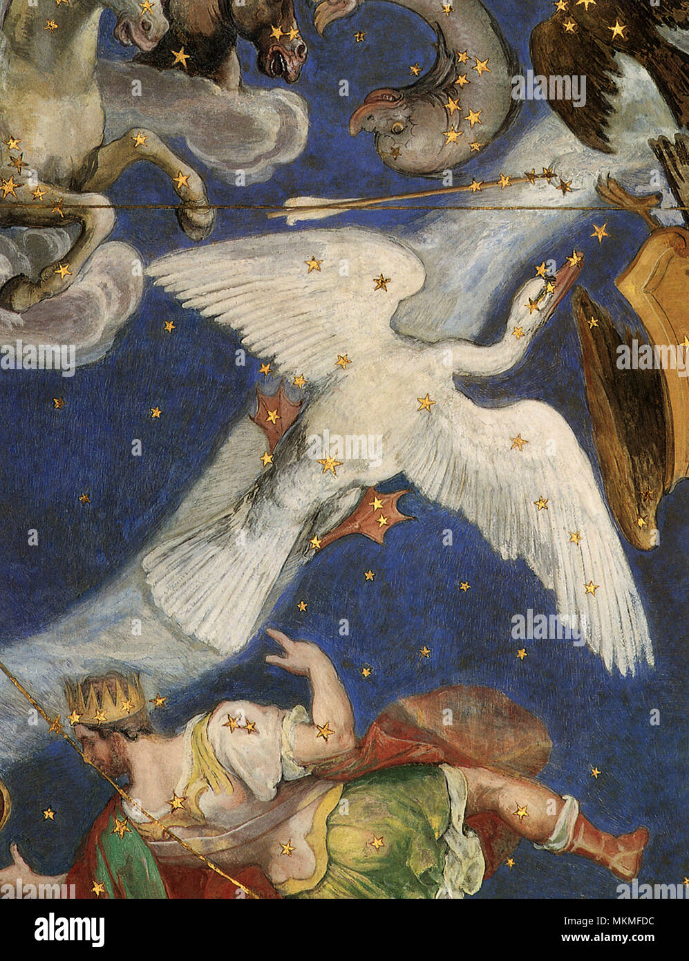 Mappa della costellazione del cigno immagini e fotografie stock ad alta