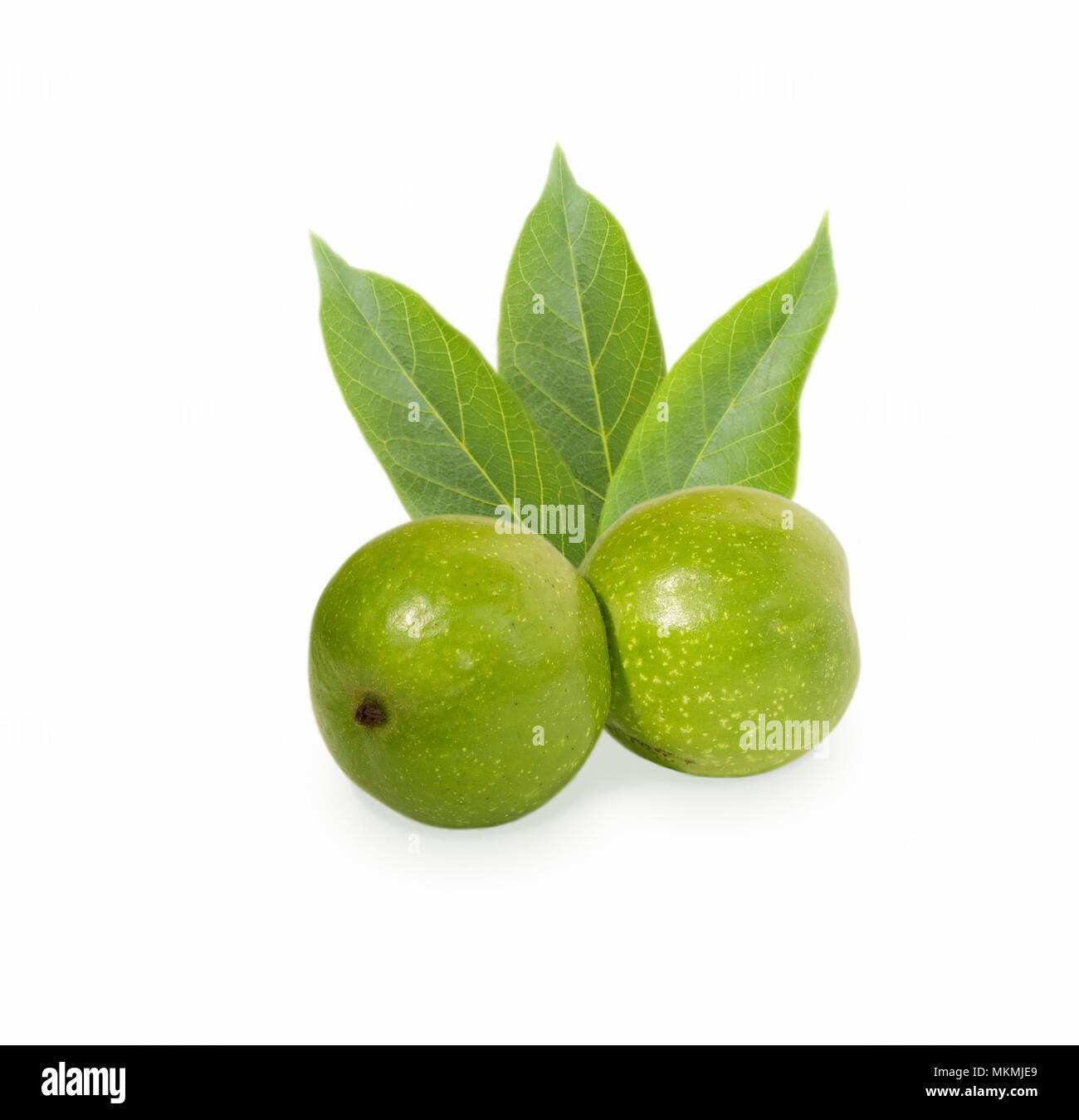 Noce isolati su sfondo bianco. Giovani verde noce. Il dado nel guscio. Foto Stock