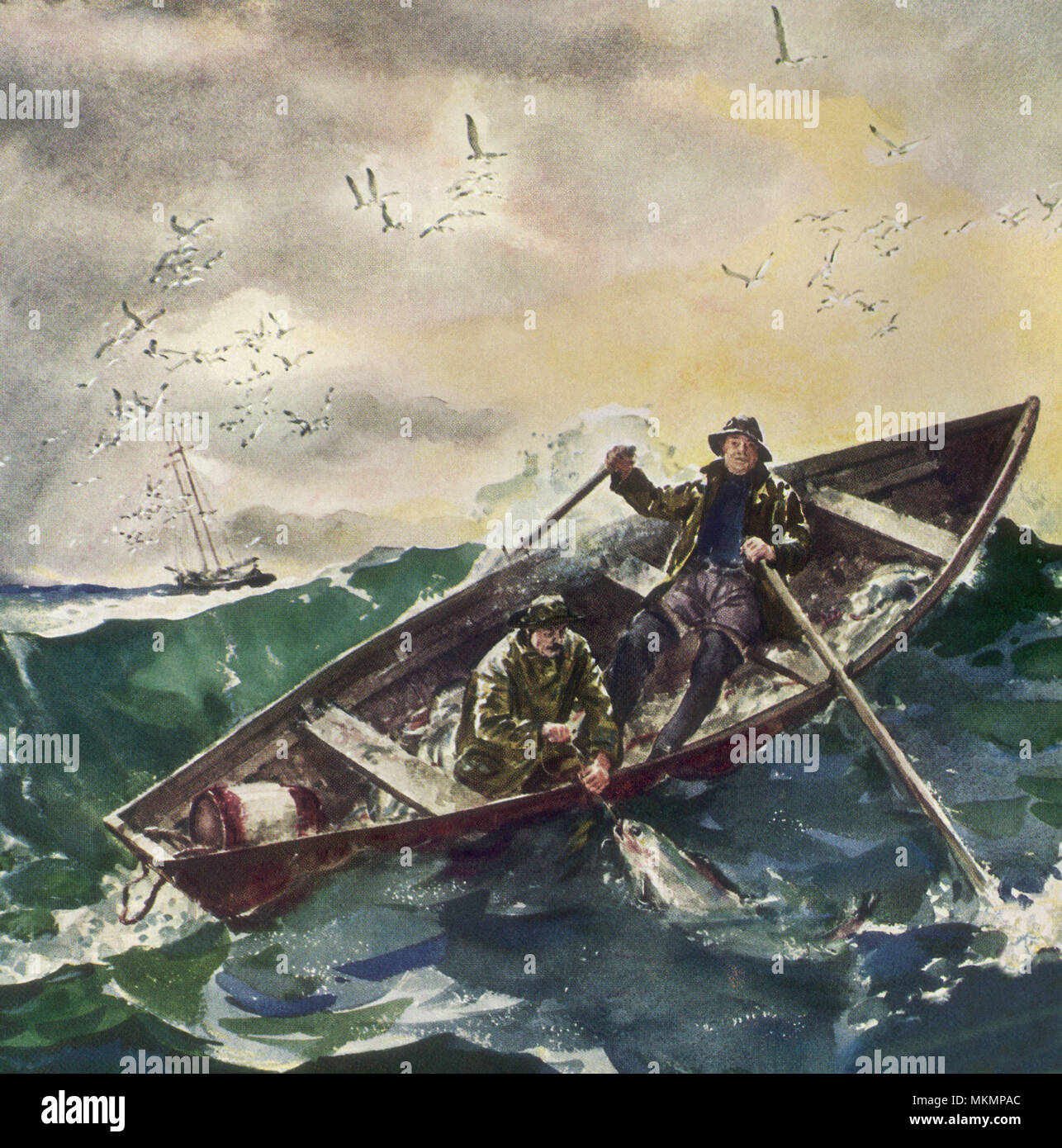 Pesca oceanica Foto Stock