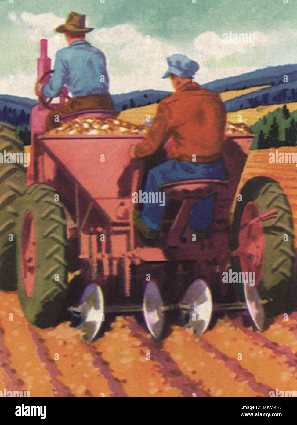 Utilizzando una piantatrice di patate Foto Stock