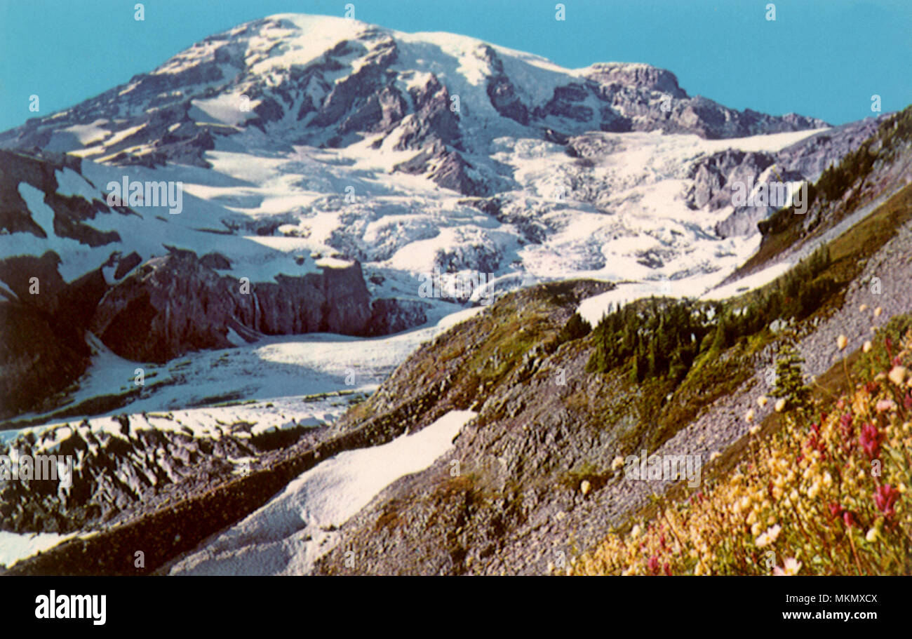 Ghiacciai e fiori, Rainier National Park Foto Stock