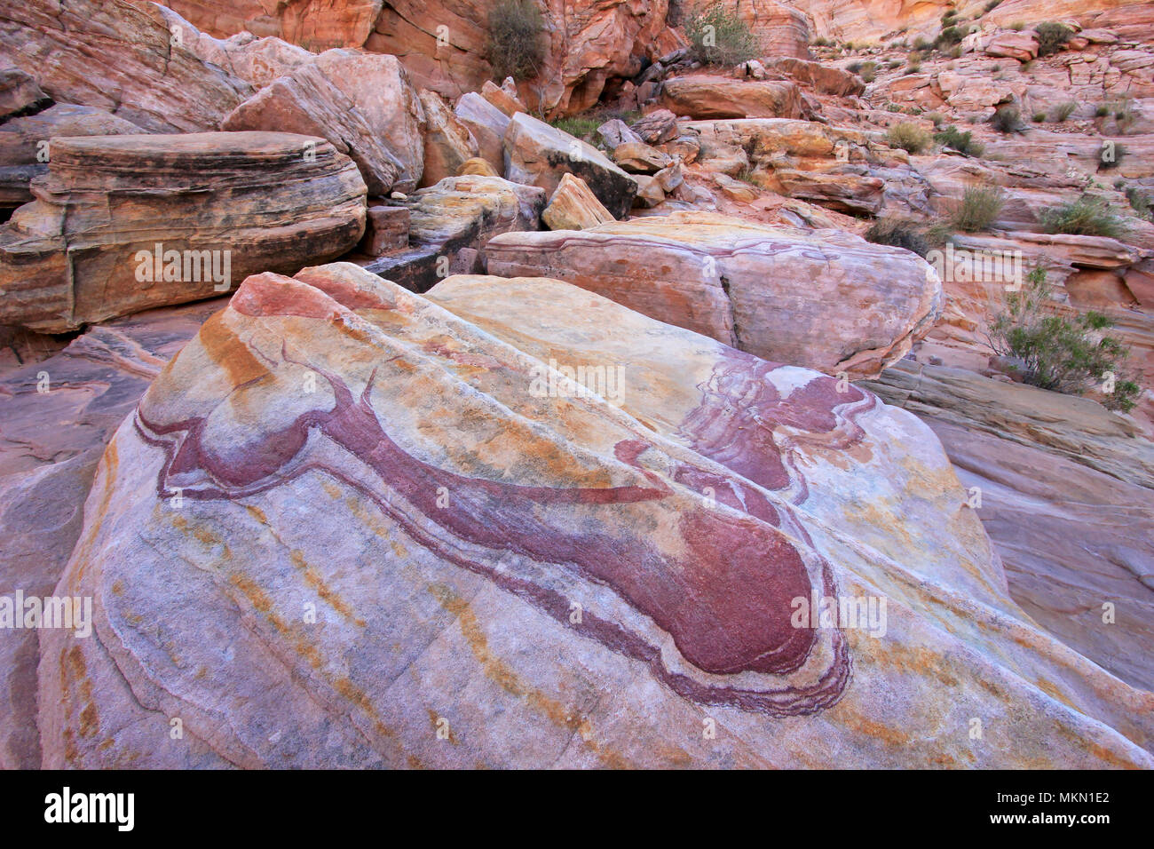 Incredibile a strisce rosa rock Crazy Hill in rosa Canyon, vicino a fuoco onda al tramonto, la Valle del Fuoco State Park, STATI UNITI D'AMERICA Foto Stock