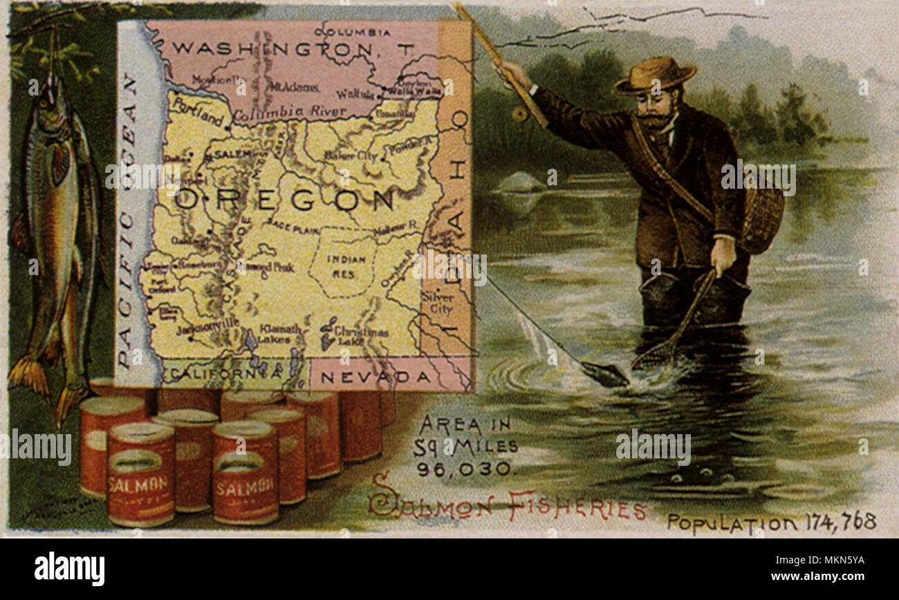 Oregon la pesca al salmone Foto Stock