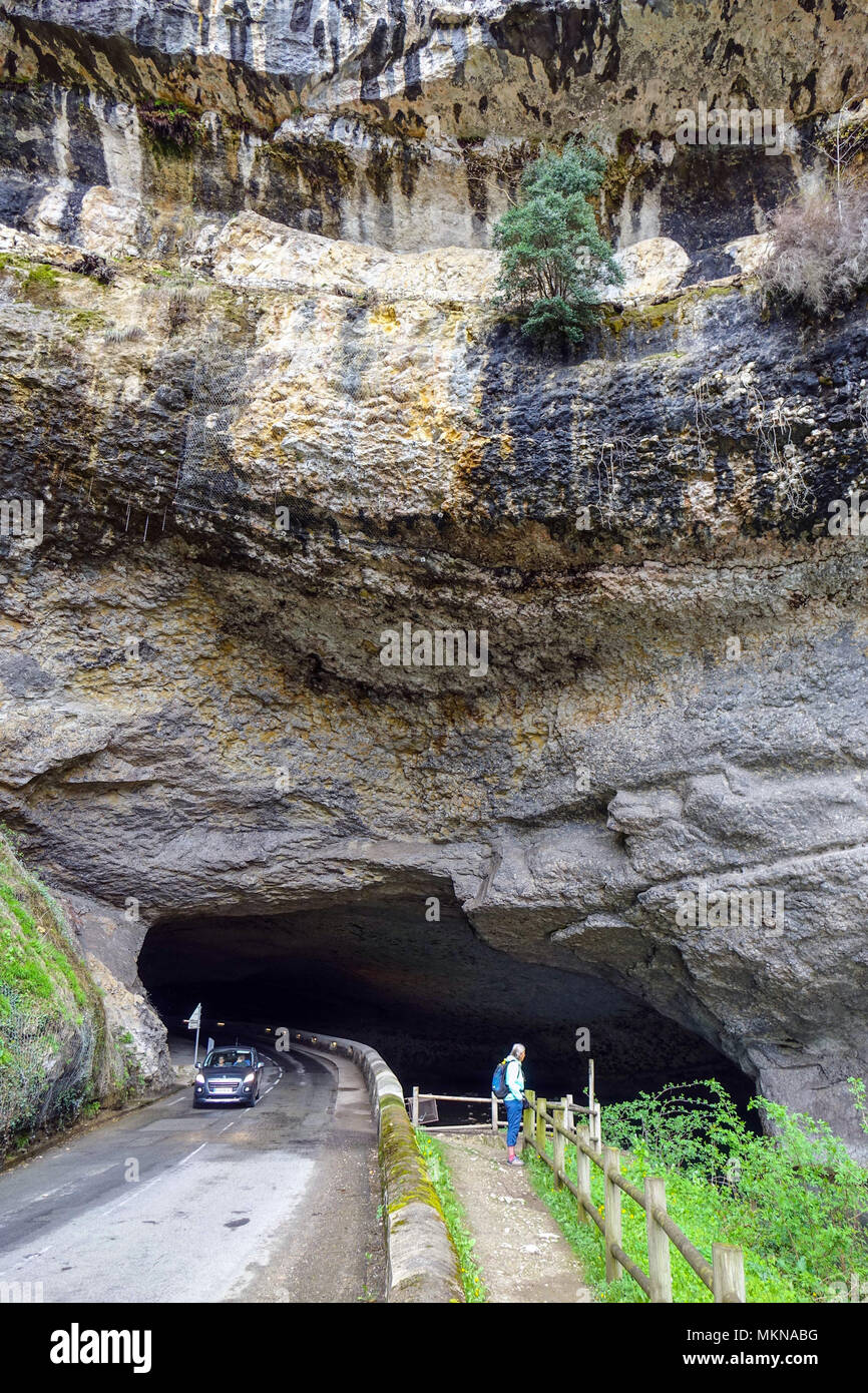 Fiume che scorre attraverso l'entrata sud della grotta preistorica Mas-d'Azil, Midi-Pirenei, Pirenei, Francia Foto Stock