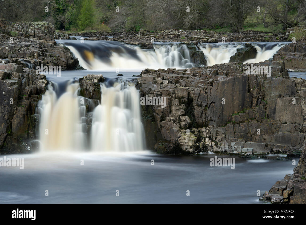 Cascate di Low Force a Teesdale, North Pennines AONB (Area of Outstanding Natural Beauty) vicino al Bowlees Visitor Center. Foto Stock