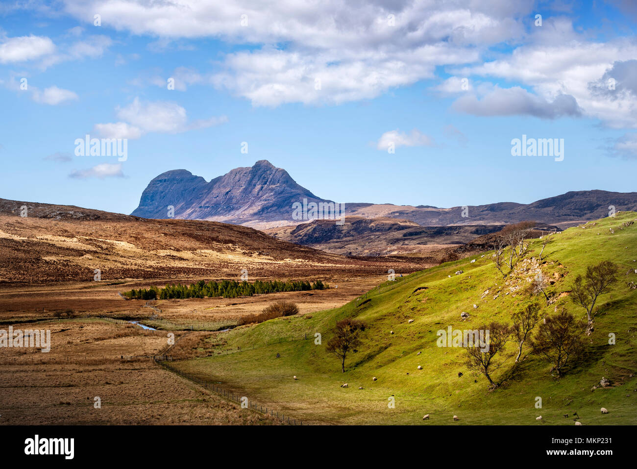 Vista del paesaggio Assynt nelle Highlands scozzesi vicino a Elphin lontano mountain è Suilven Foto Stock