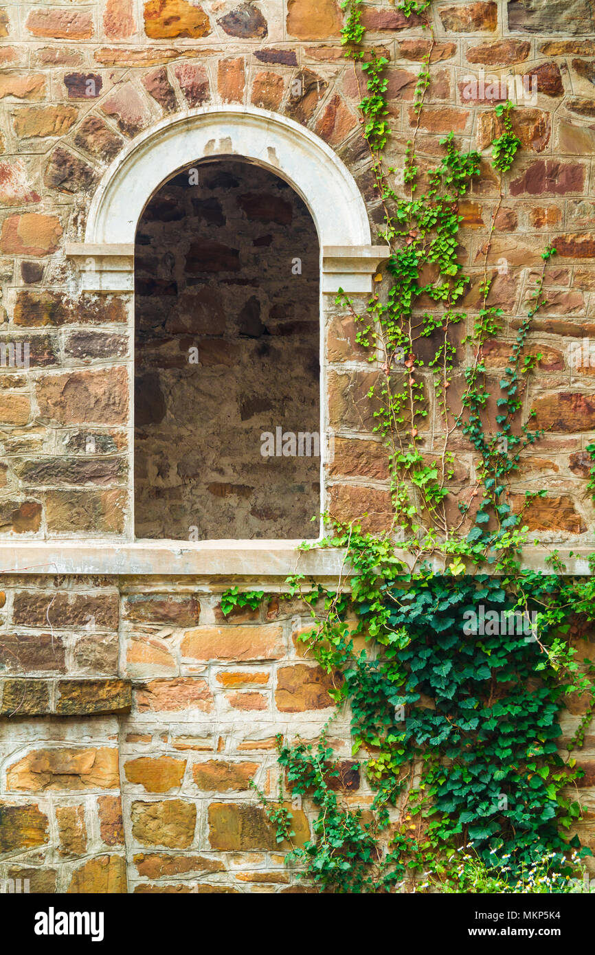 Finestra spazio ed edera sulla facciata in pietra dell'abbandonata vecchia magione chiamato Dacha Kvitko, Sochi, Russia Foto Stock