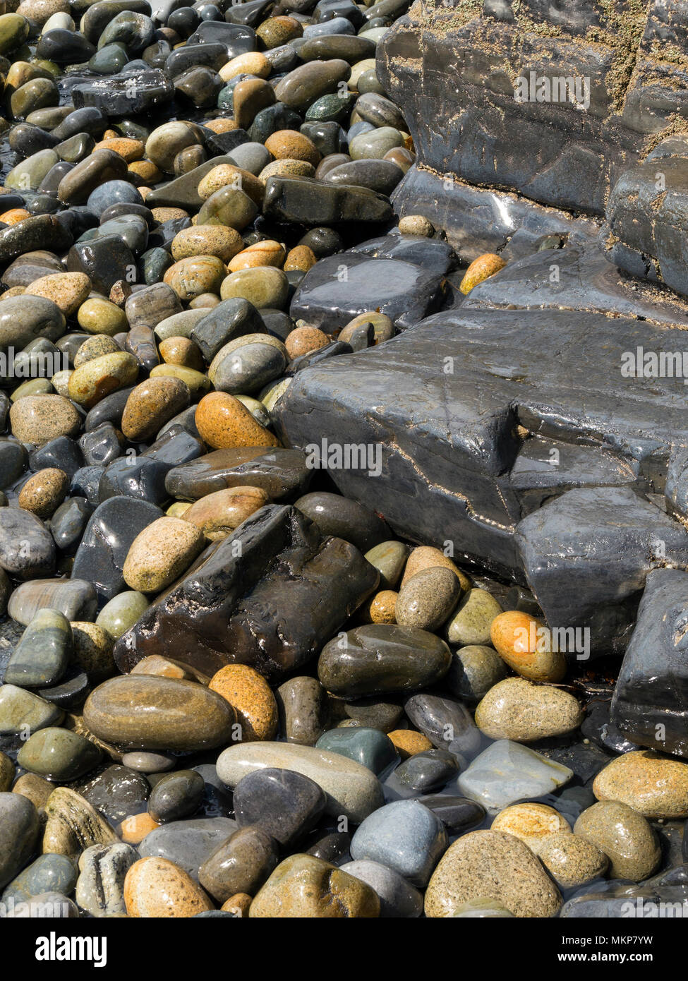 Wet round spiaggia di ciottoli e sassi, e rock, Foto Stock