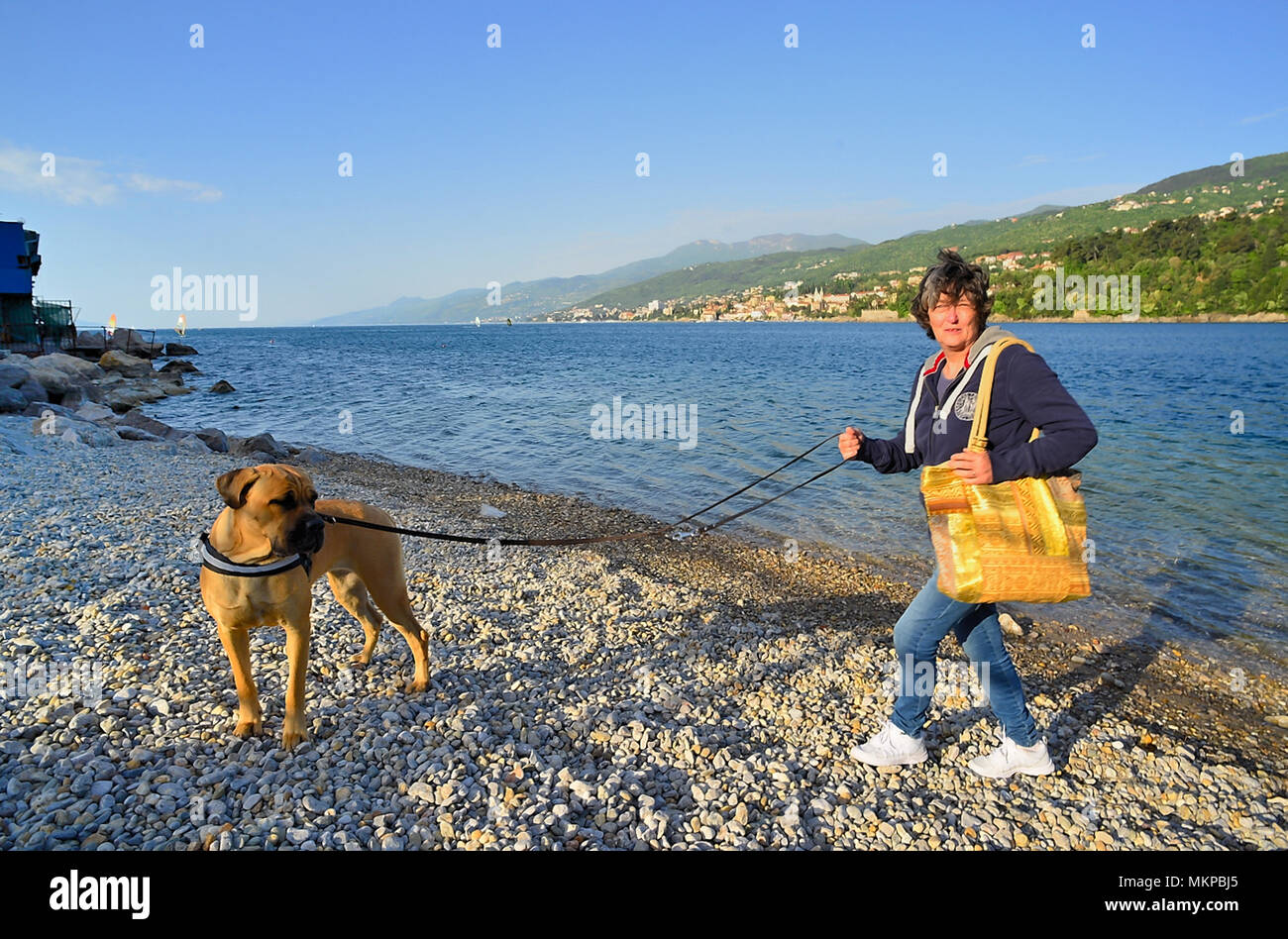 Opatija Croazia Una Turista Con Un Cane Corso Sulla