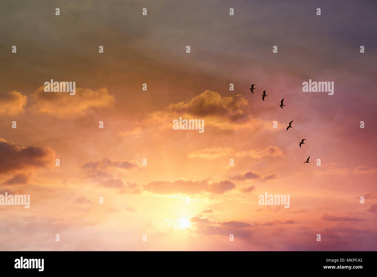 Surreale immagine enigmatica di uccelli in volo nel tramonto o l'alba cielo . minimalismo e concetto di sogno Foto Stock