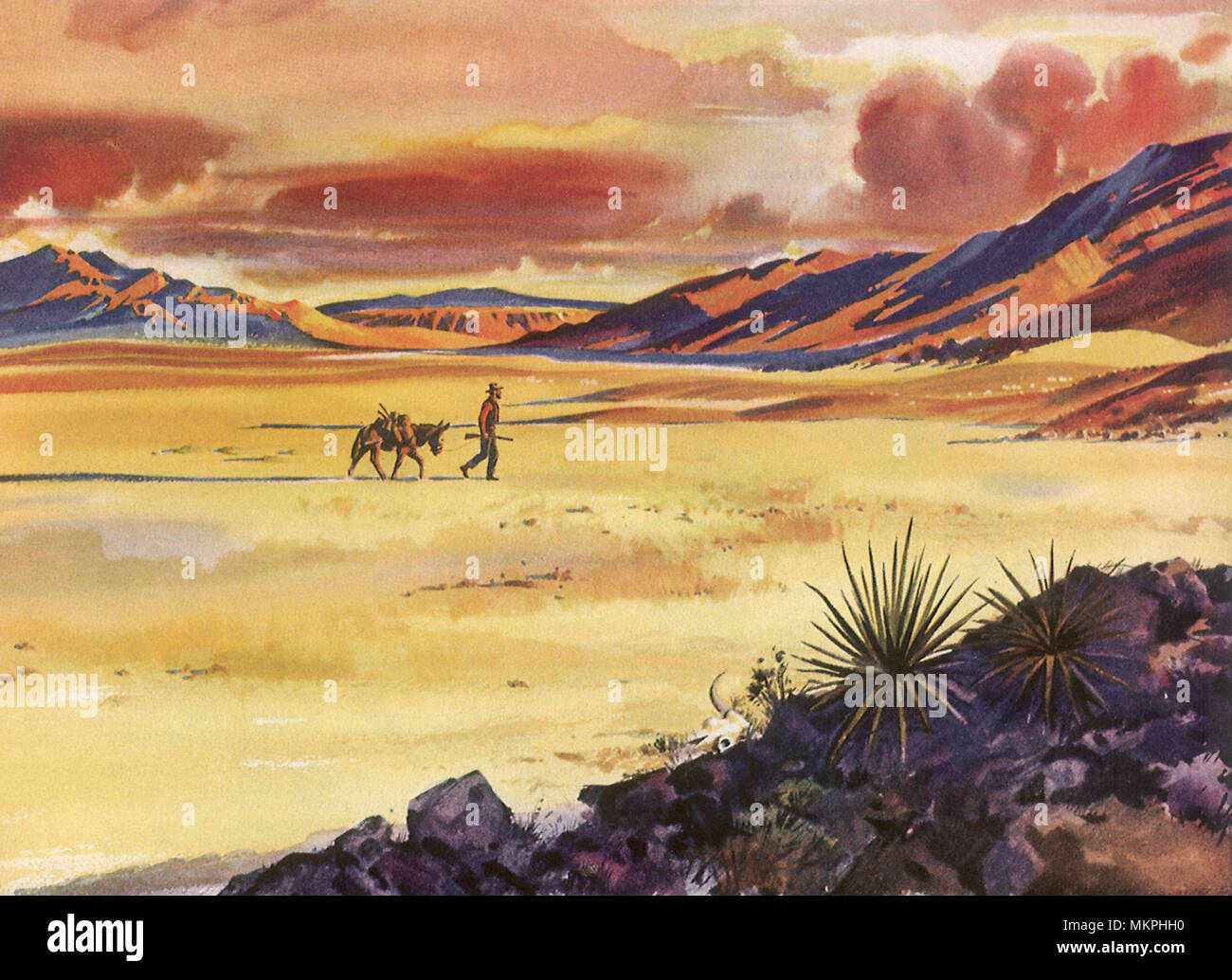 Uomo e asino a piedi attraverso il deserto Foto Stock