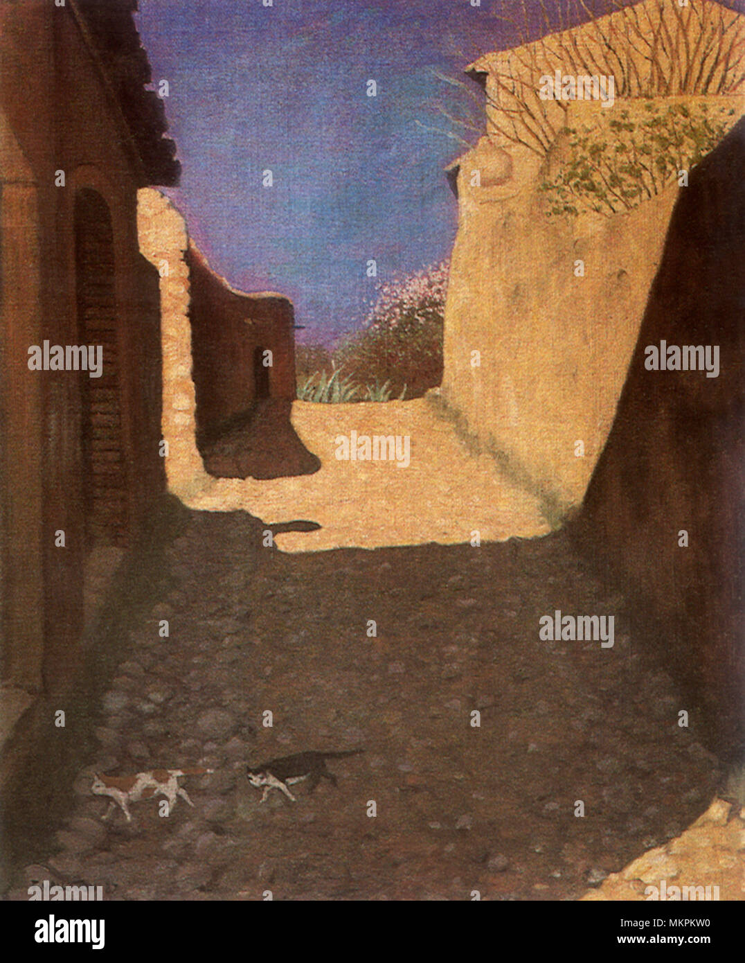 Due gatti passando da Foto Stock