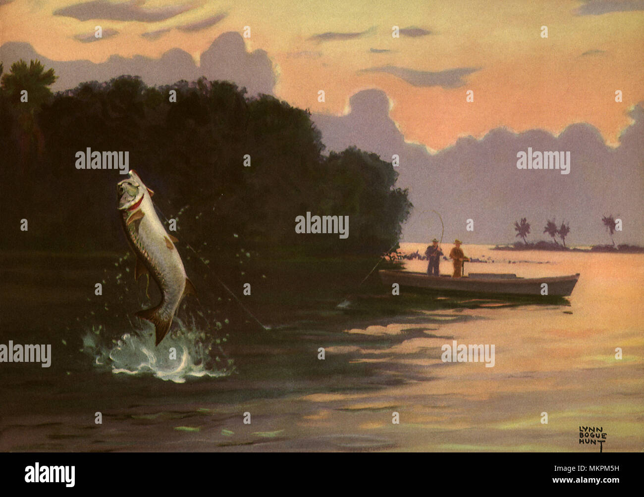 Pesce pescato saltando fuori di acqua Foto Stock