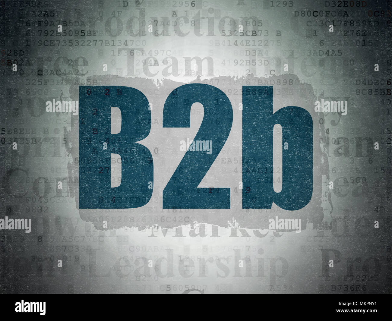 Concetto di finanza: dipinto di blu il testo B2b sui dati digitali sfondo della carta con Tag Cloud Foto Stock