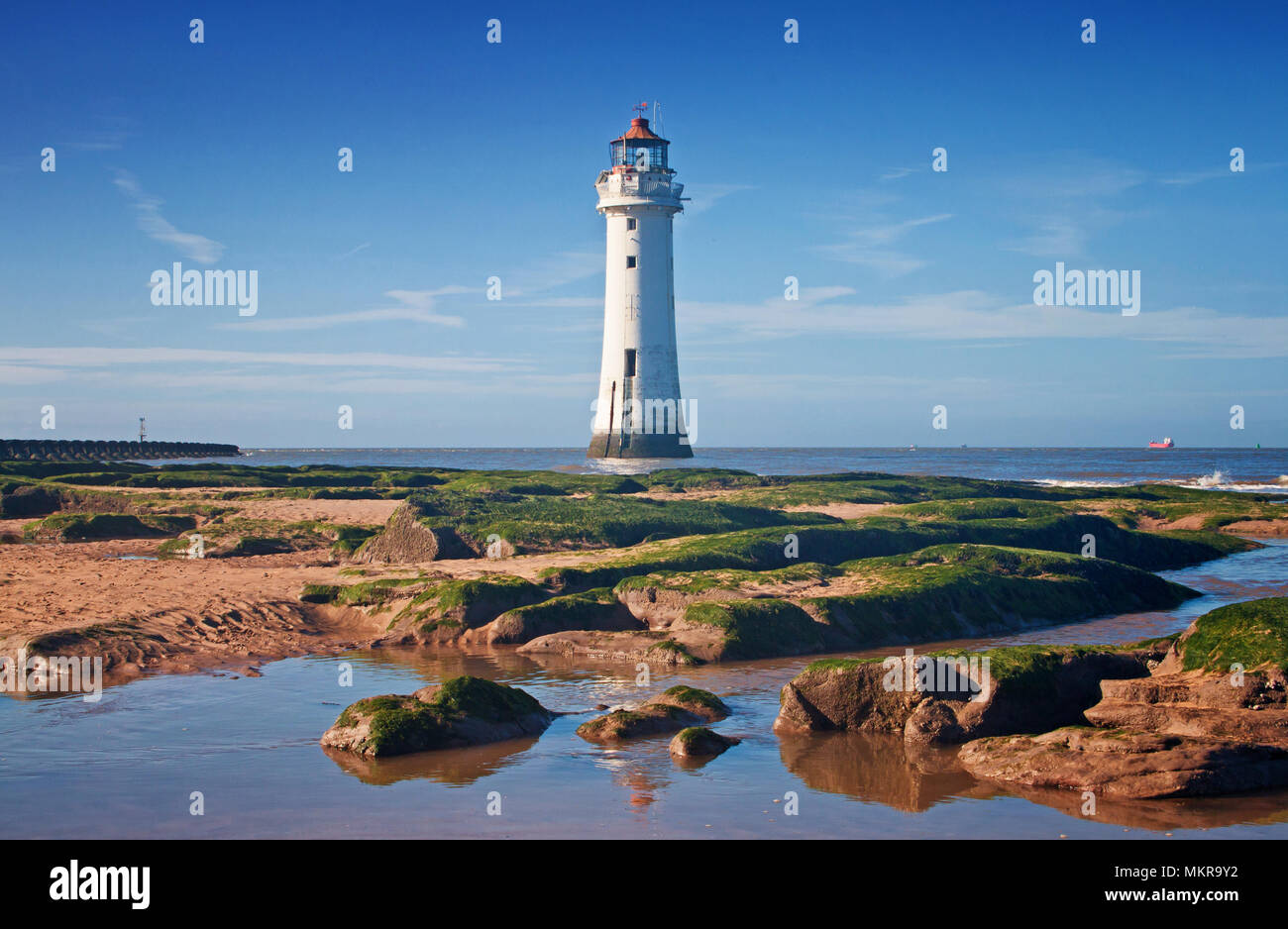 Pesce persico rock lighthouse e nuova spiaggia di Brighton Foto Stock