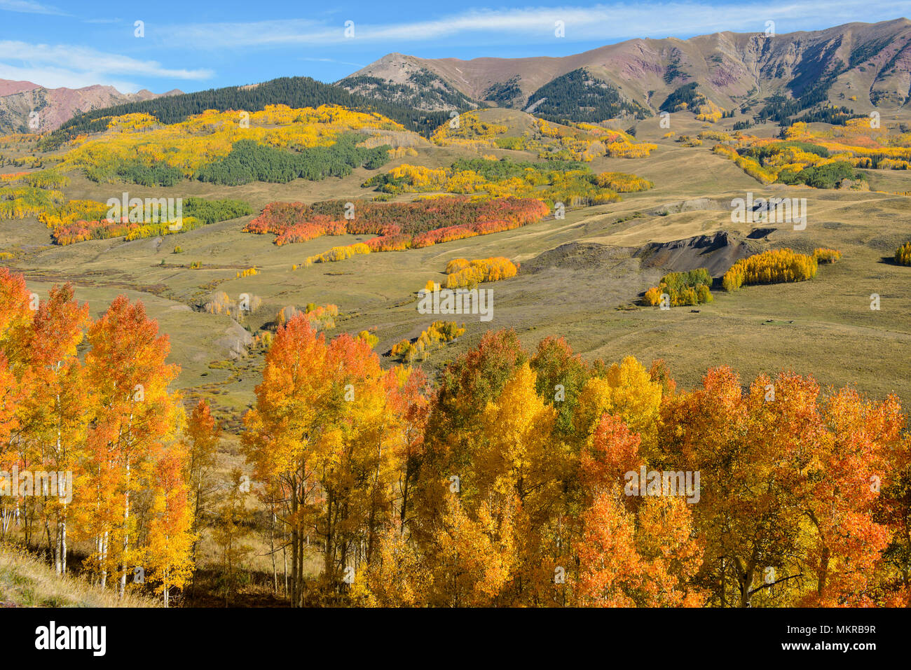 Autunno Hill - Colori d'Autunno boschetti di pioppi a lato del Rocky Mountain Range, vicino a Crested Butte, Colorado, Stati Uniti d'America. Foto Stock