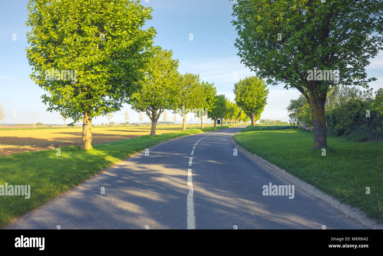 Scenic strada di campagna circondata da alberi in giorno . FRANCIA Foto Stock