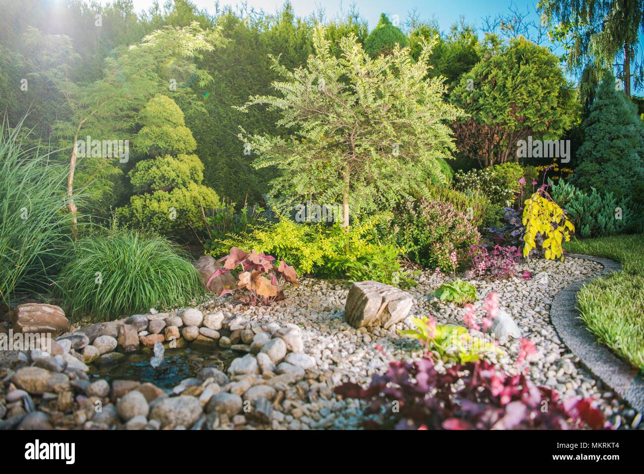 Creative giardino nel cortile pieno di piante colorate. Tema di giardinaggio. Foto Stock