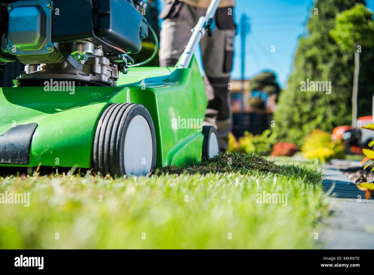 Cura del prato macchinari. La benzina Dethatcher spingendo da professionale giardiniere. Prato macchina scarificatrice il tema. Foto Stock