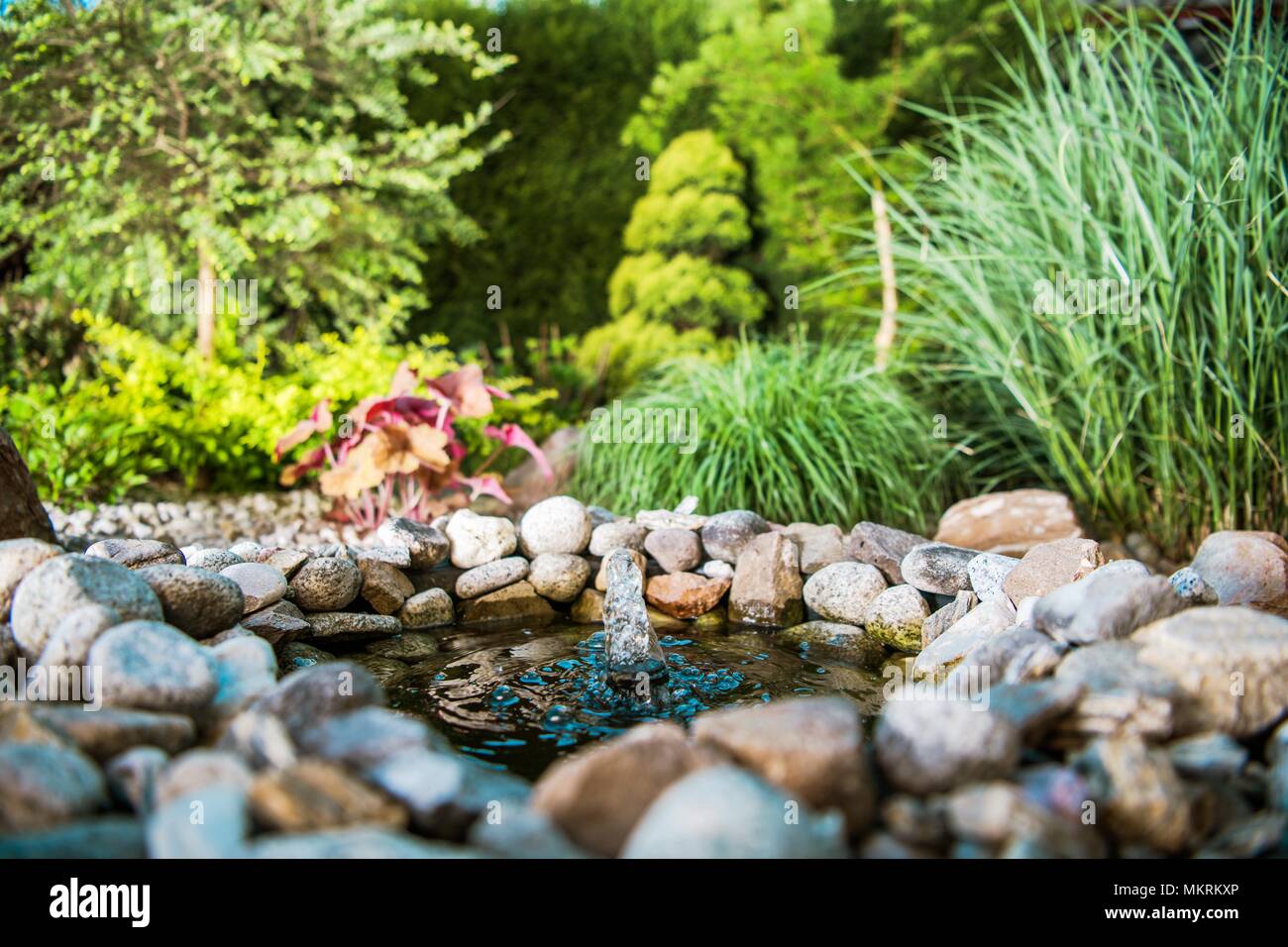 Piccolo giardino roccioso stagno con piccola fontana nel bellissimo giardino nel cortile. Foto Stock