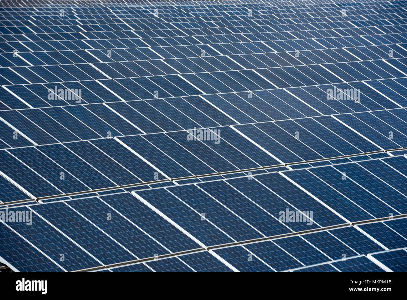 Close up di una fila di pannelli solari in un campo aperto con più pannelli fotovoltaici, Calasparra, Murcia, Spagna Foto Stock