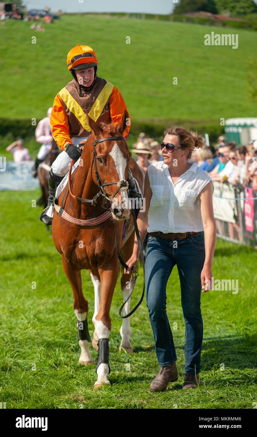 Cavalli e fantini essendo camminato intorno alla parade ring Eyton on Severn punto a punto, 7 maggio 2018 Foto Stock