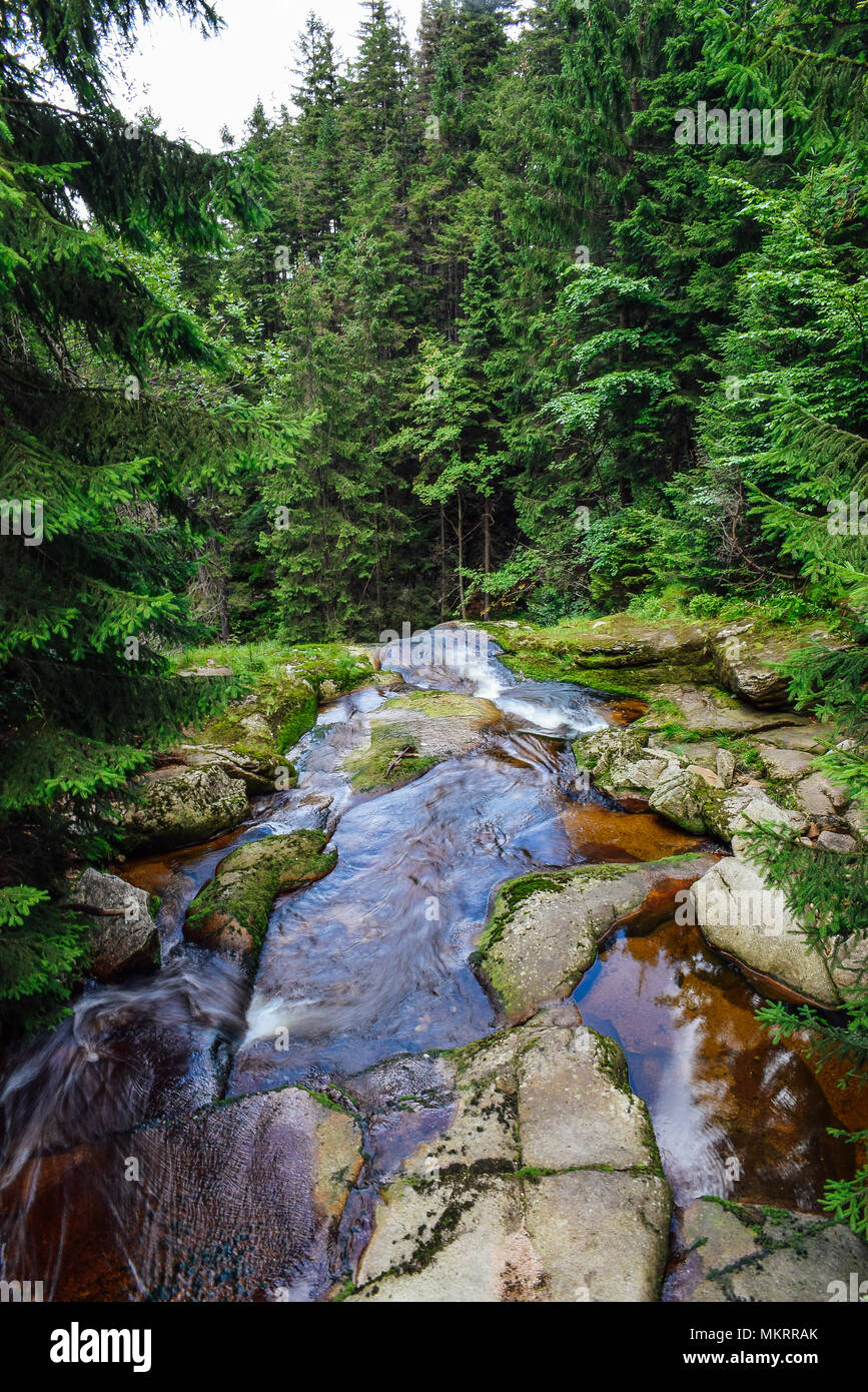 Bordo a cascata in montagna, foresta a sud della Polonia. Foto Stock