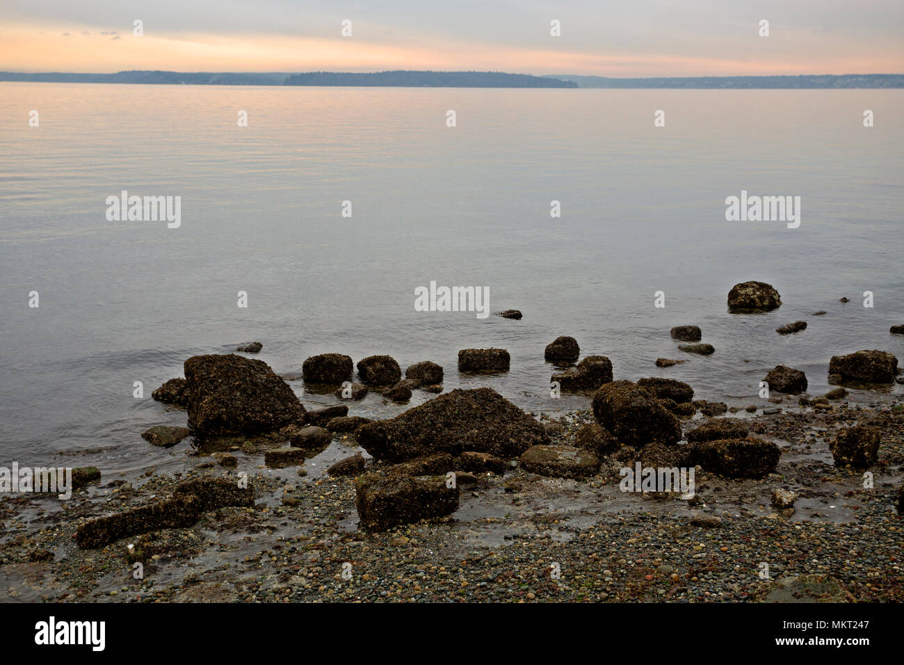 WA15351-00...WASHINGTON - Tramonto in un giorno nuvoloso lungo il Puget Sound a Alki Point nella zona ovest di Seattle. Foto Stock