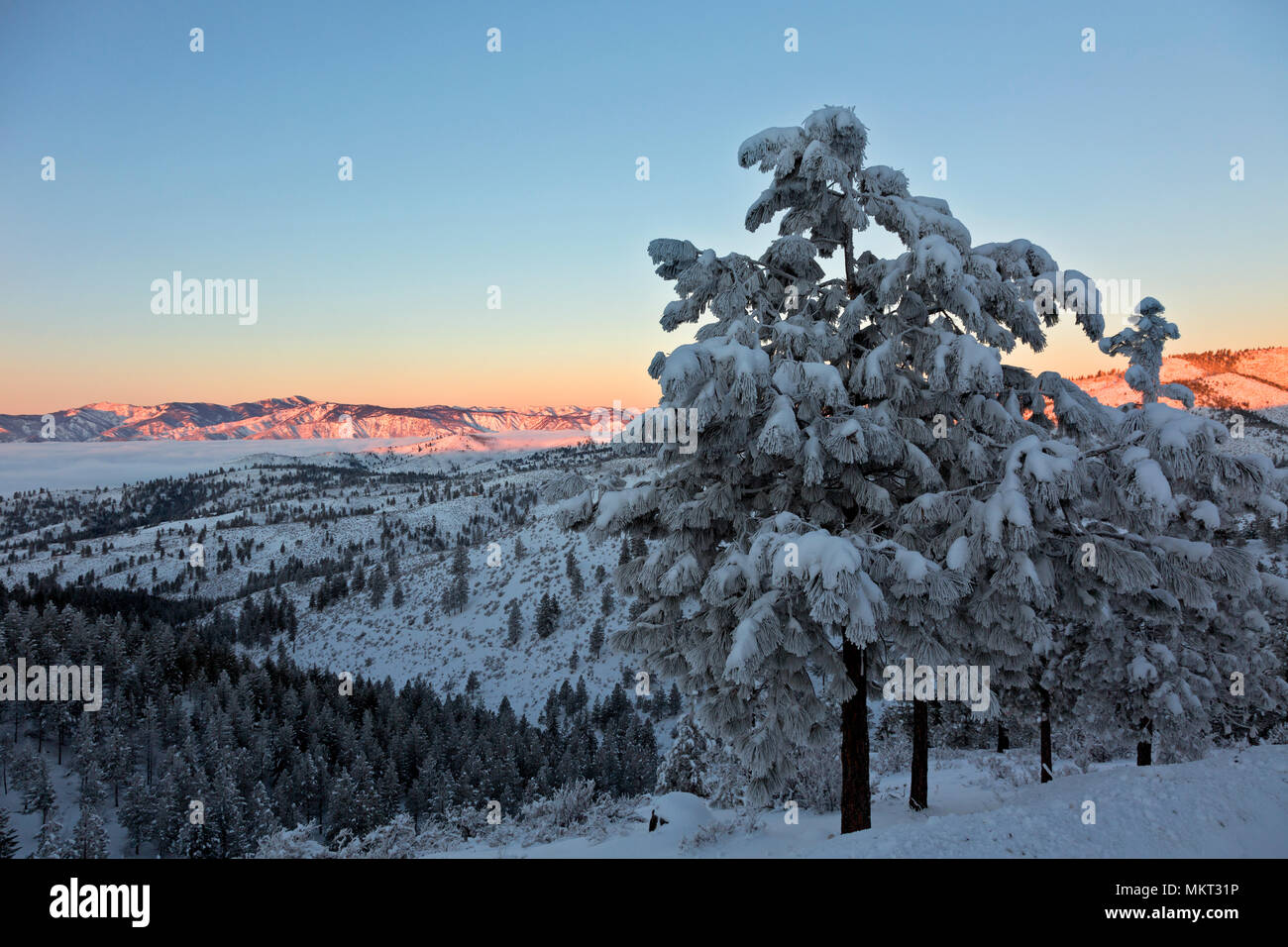 WA15363-00...WASHINGTON - Alba sopra una coperta di nebbia lago Chelan e le montagne Chelan al di là dal crinale di eco area nordica. Foto Stock