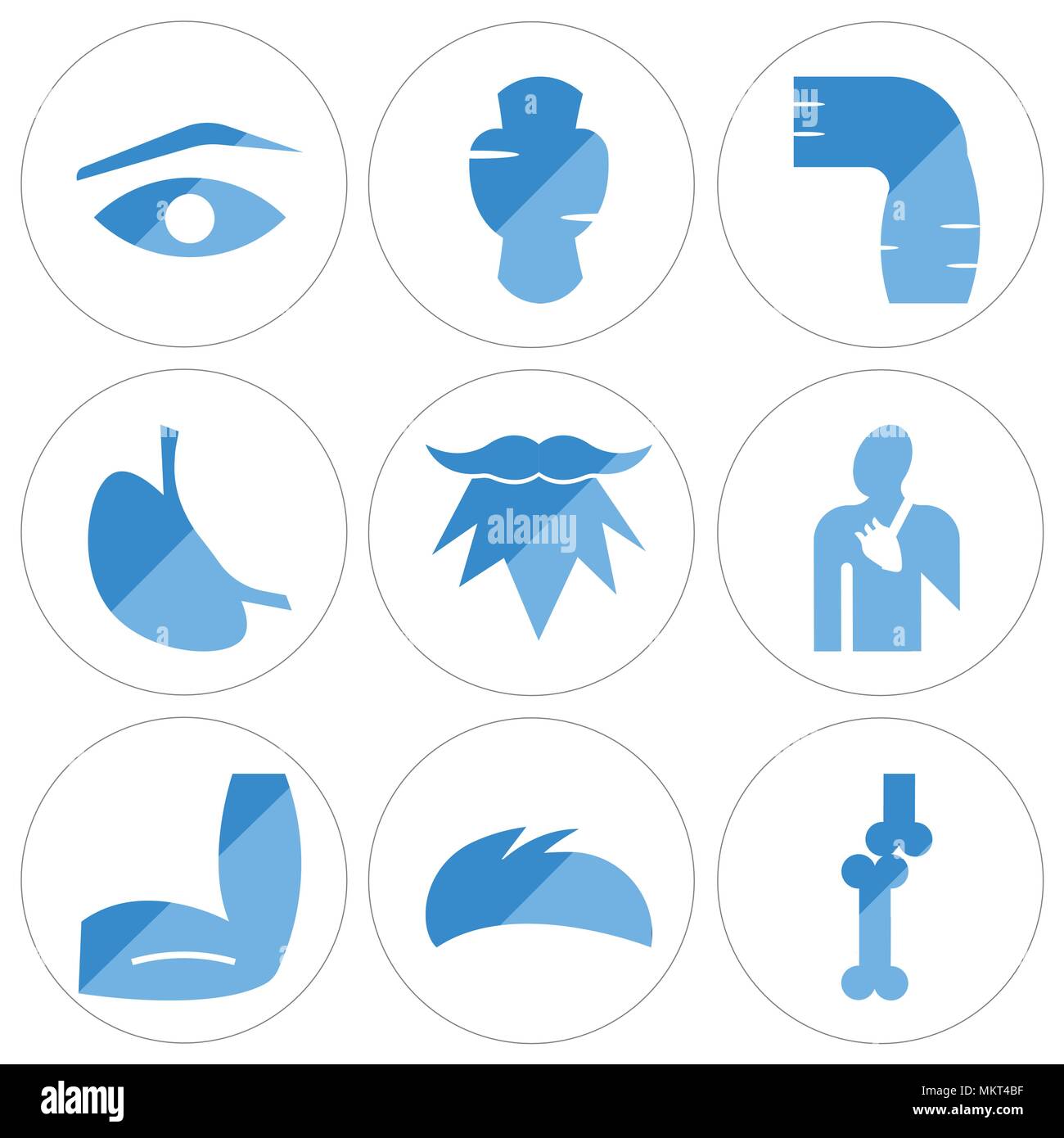 Set di 9 semplici icone modificabili come ad esempio le ossa giunto, uomini capelli, gomito, sangue sistema di alimentazione, barba, lo stomaco con liquidi, pelle umana, tiroide, sopracciglio, c Illustrazione Vettoriale