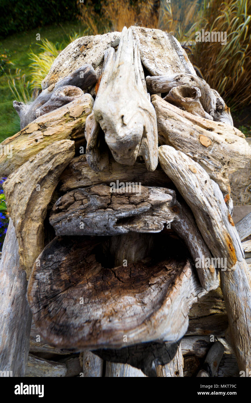 Faccia come una scultura in legno - Inverness, Scotland Foto Stock