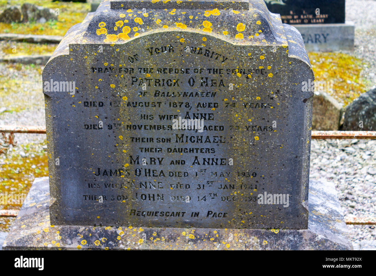 Marcatura di lapidi antiche tombe nel cimitero o cimitero di timoleague convento, un antico irlandese convento abbandonati. Foto Stock